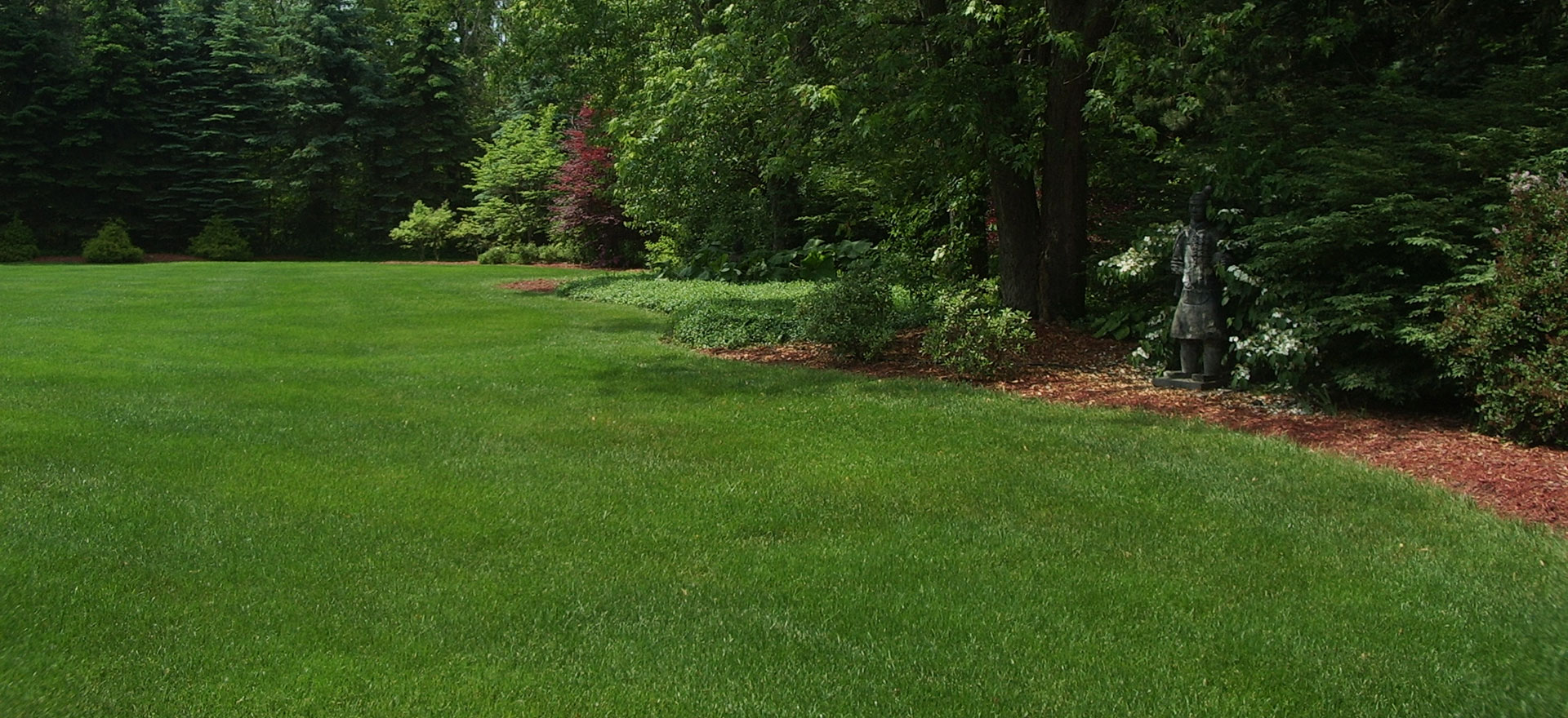 lawn